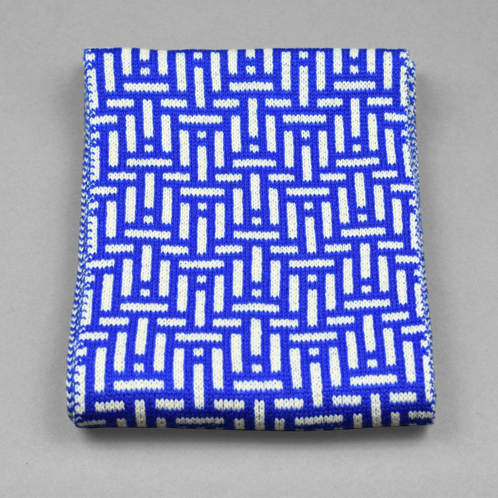 Kinetic Pattern Scarf Blue/White